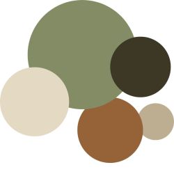 des couleurs naturelles et terreuses